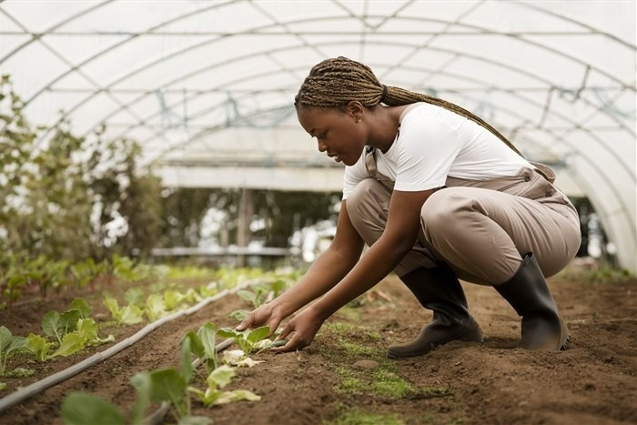 AgriSETA 2026 Agricultural Learnerships in South Africa: A Powerful Path to Skills, Income and Sustainable Careers