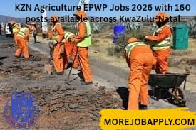 The Best KZN Agriculture EPWP Jobs 2026: 160 posts, up to R500/day. Apply with Z83 before 11 March 2026